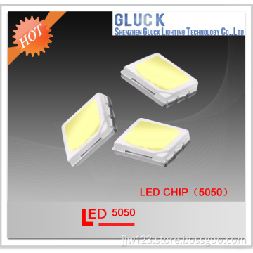 High Lumen Waterproof 5050 SMD LED